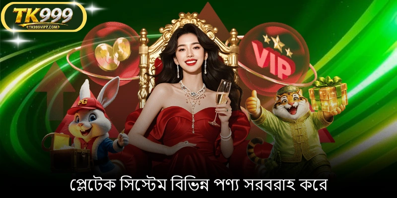 প্লেটেক সিস্টেম বিভিন্ন পণ্য সরবরাহ করে