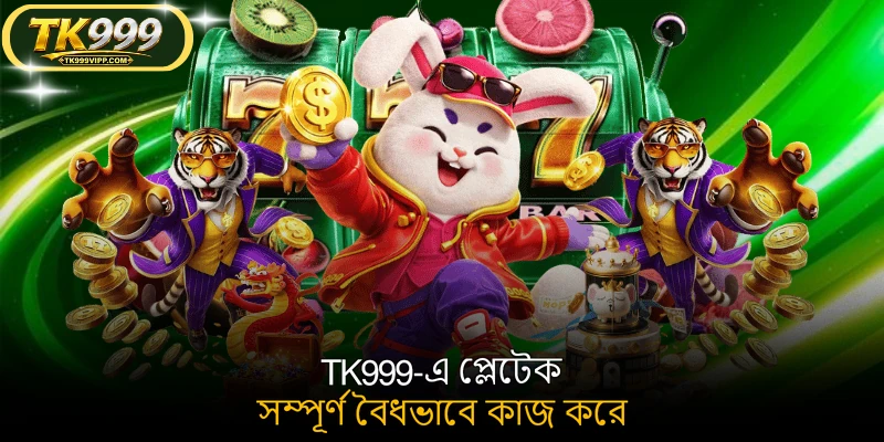 TK999-এ প্লেটেক সম্পূর্ণ বৈধভাবে কাজ করে